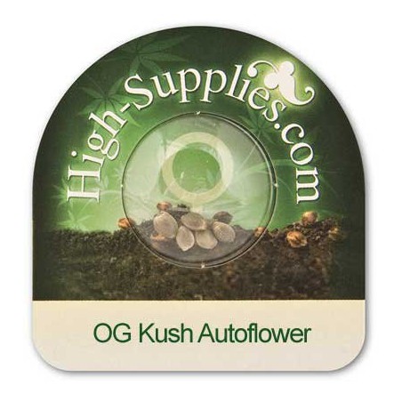OG Kush Autoflowering Marijuana Seeds